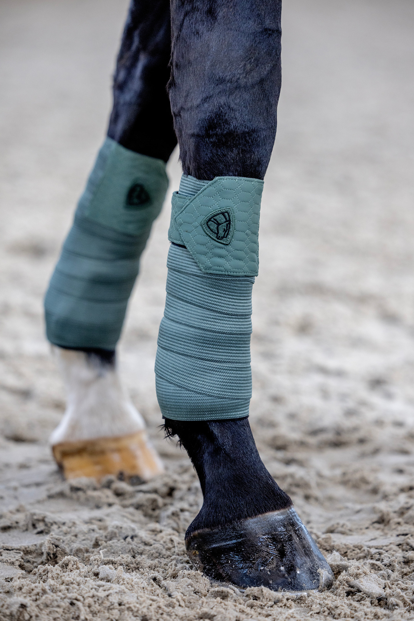 Catago FW25 FIR-Tech Grand bandage 2pcs