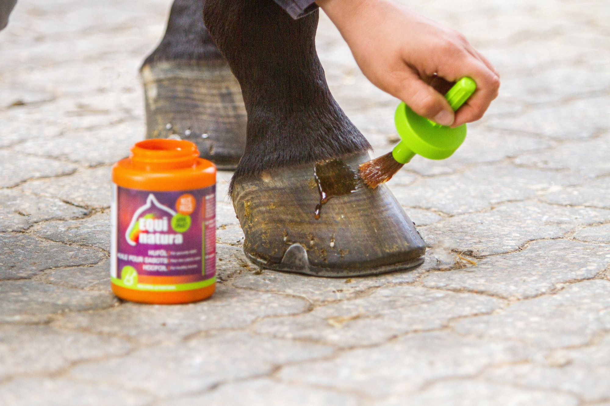 Equinatura hoef oil with brush