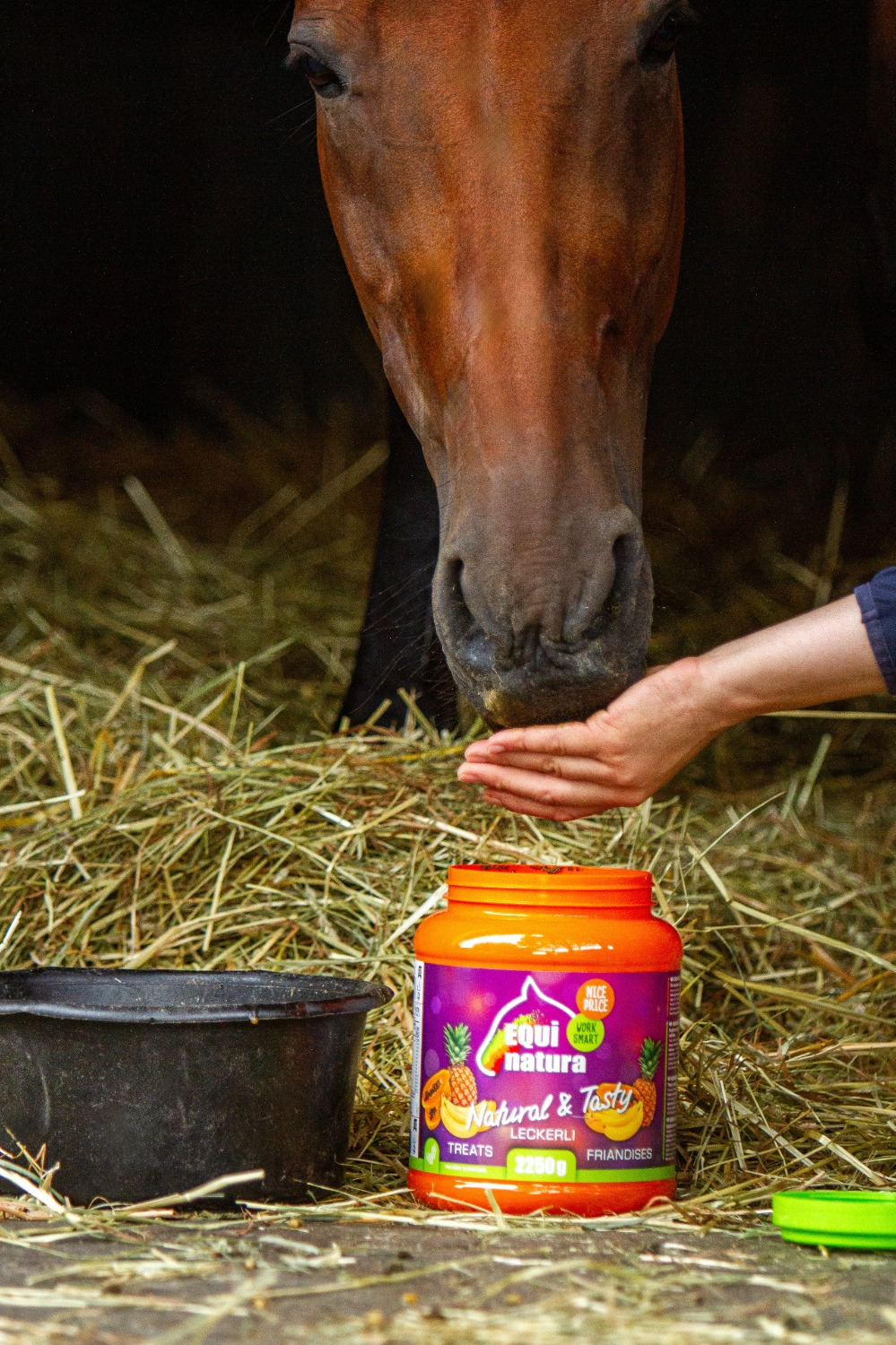 Equinatura Horse Treats