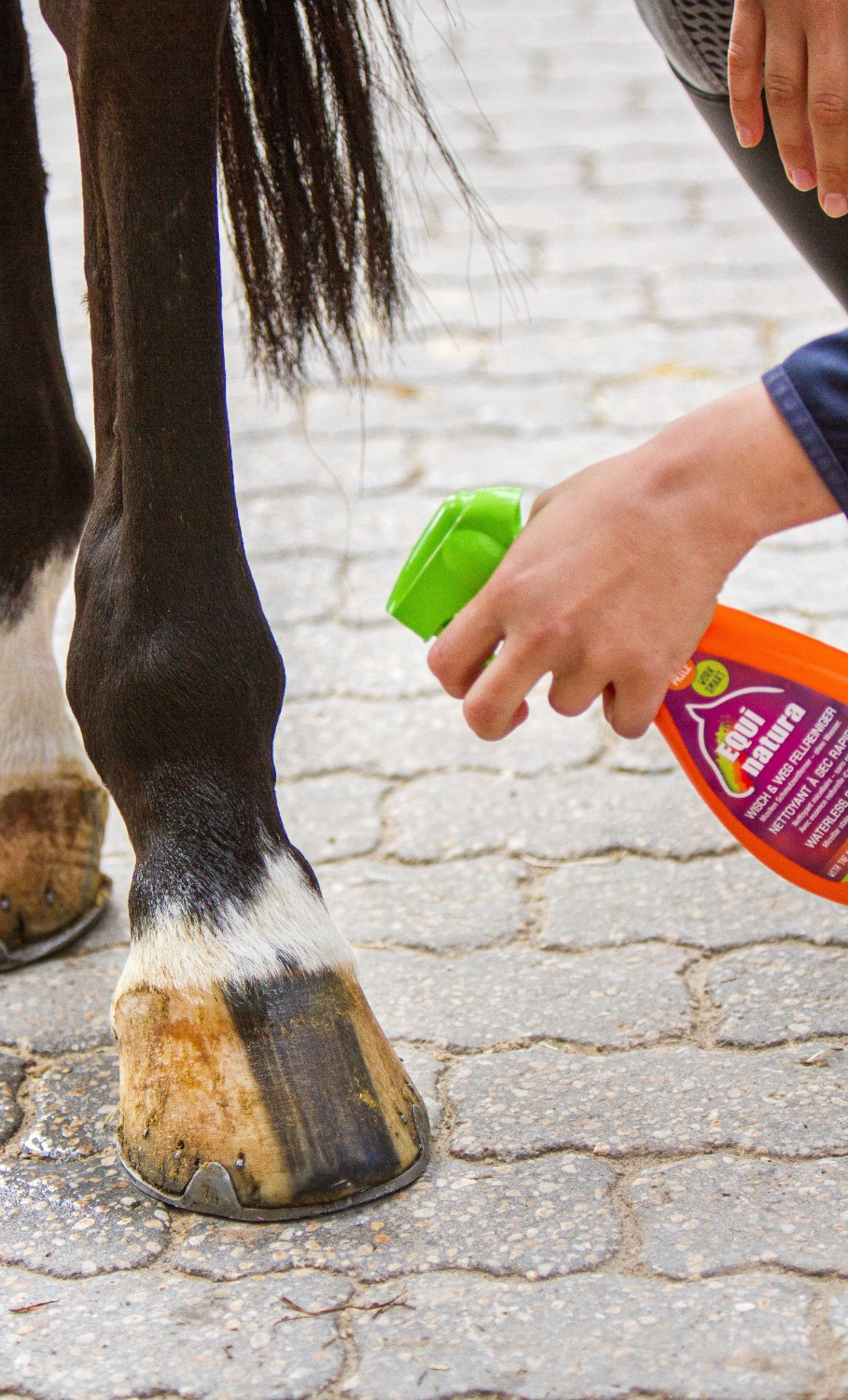 Equinatura Quick Coat Cleaner