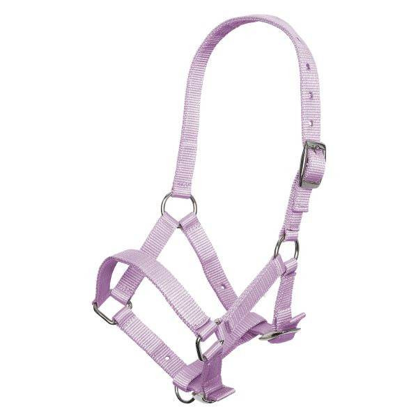 Imperial Riding SS26 Halter foal IRH