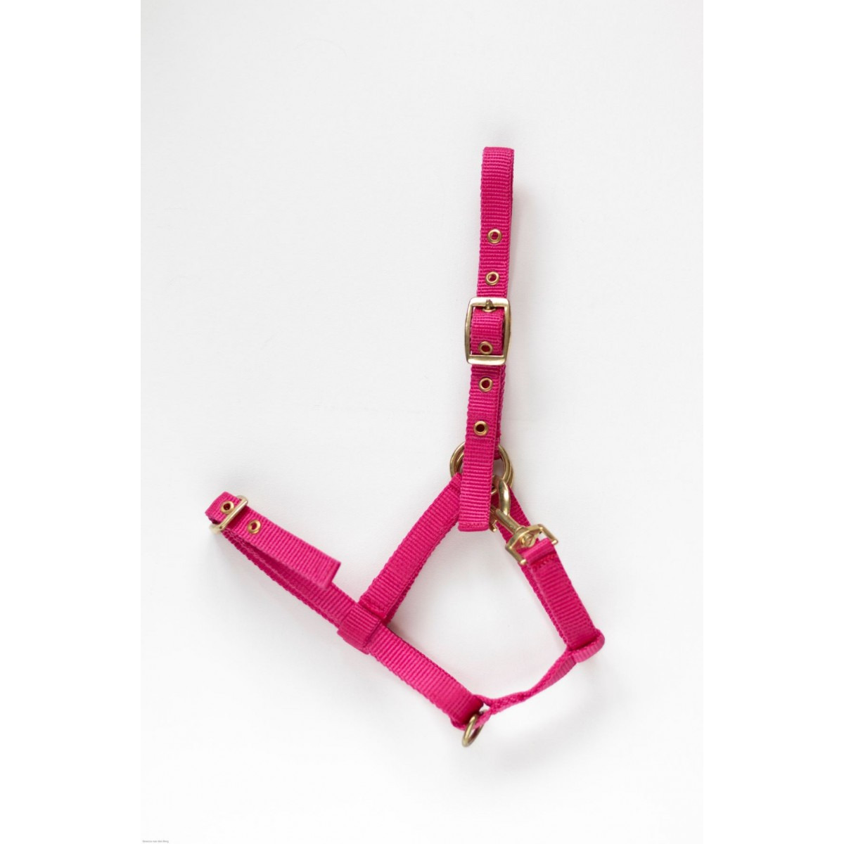 HB Nylon Foal Halter