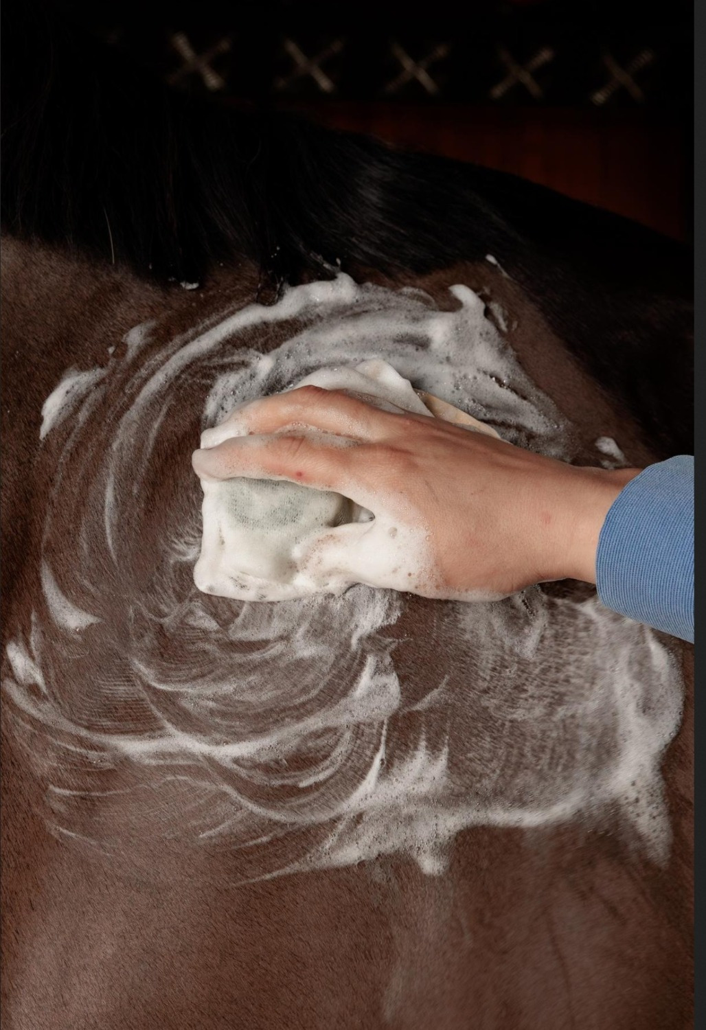 Grooming Deluxe Lavender Shampoo Bar