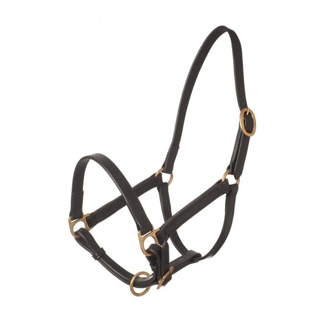 HB Leather Halter Big Foal