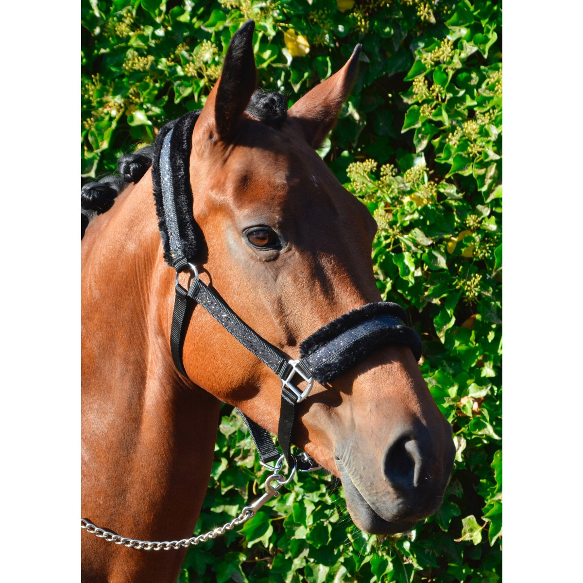 HB Glamour Halter