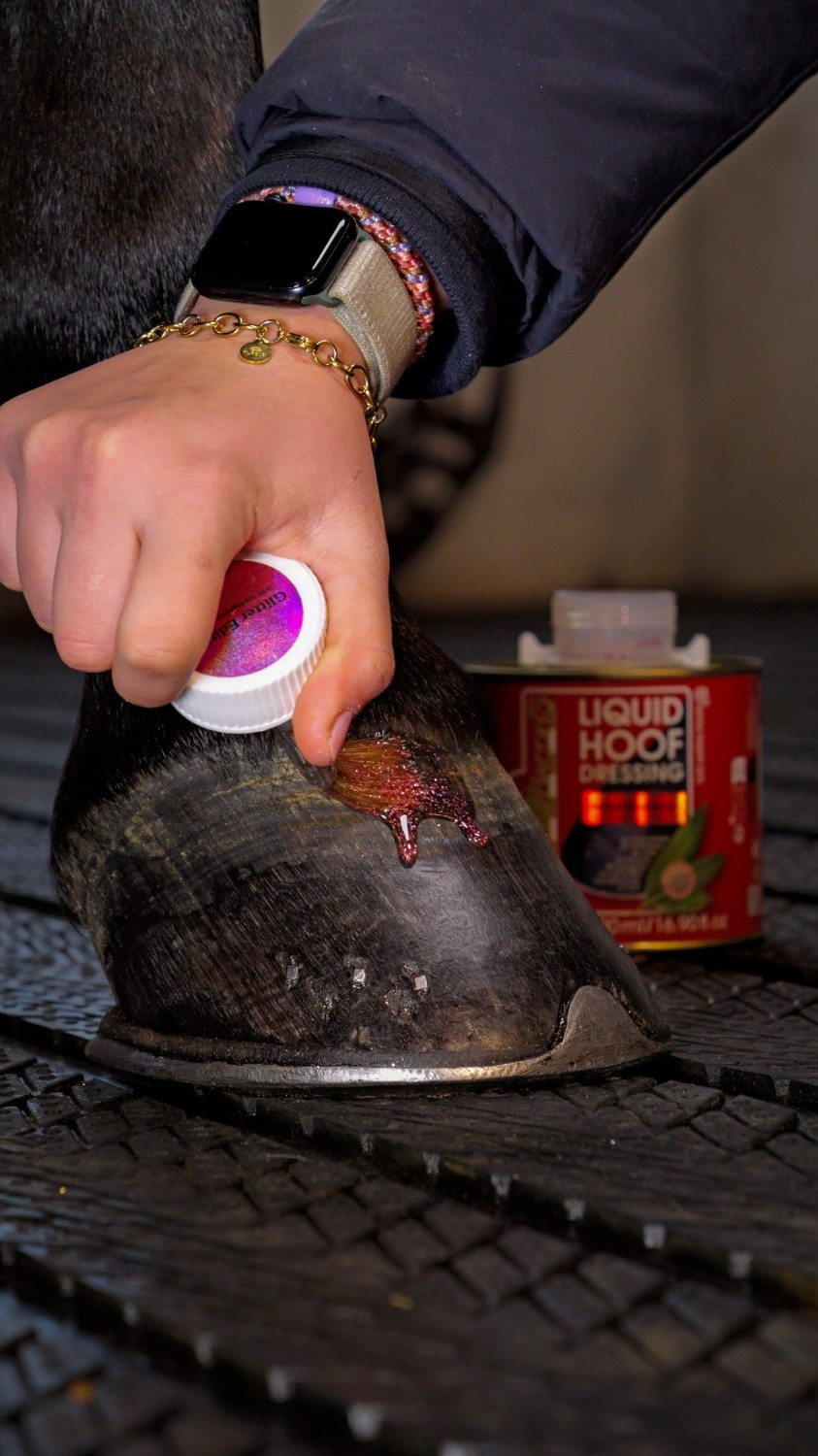 Kevin Bacon's Hoof Oil Pink Glitter