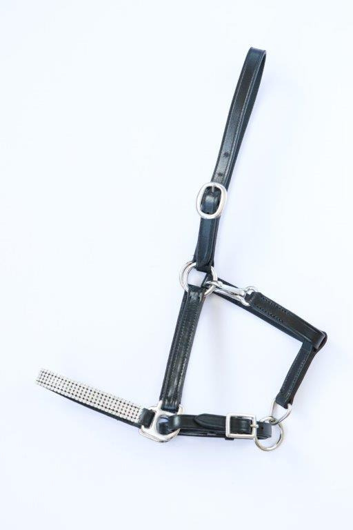 HB Leather Foal Halter Rhinestones