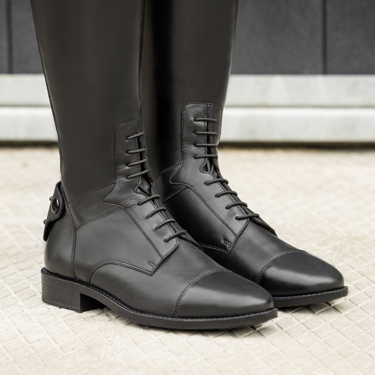 QHP Elyria Adult Riding Boot