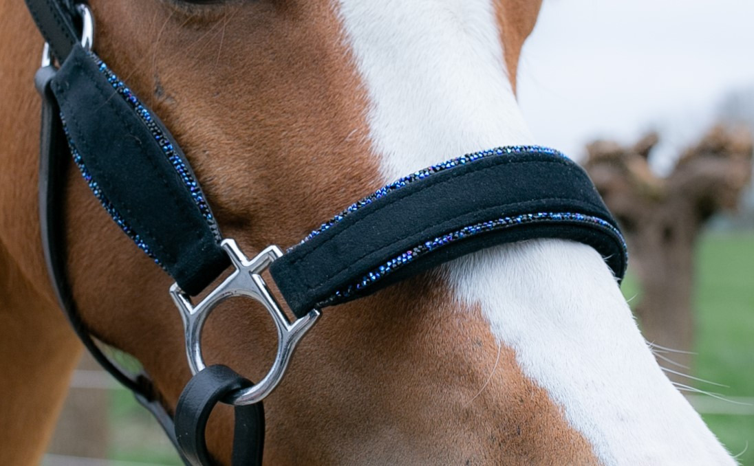 HB Showtime Velvet Glitter Halters Little Sizes
