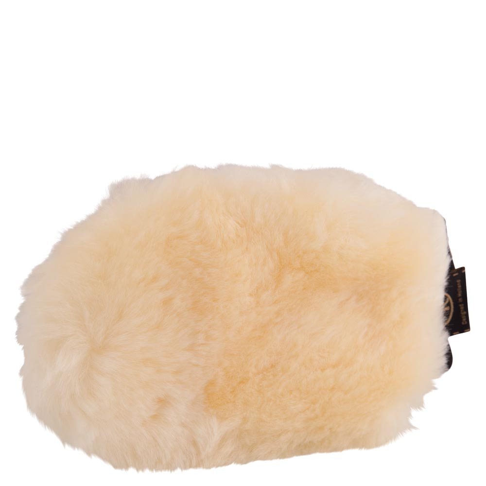 BR Grooming Glove