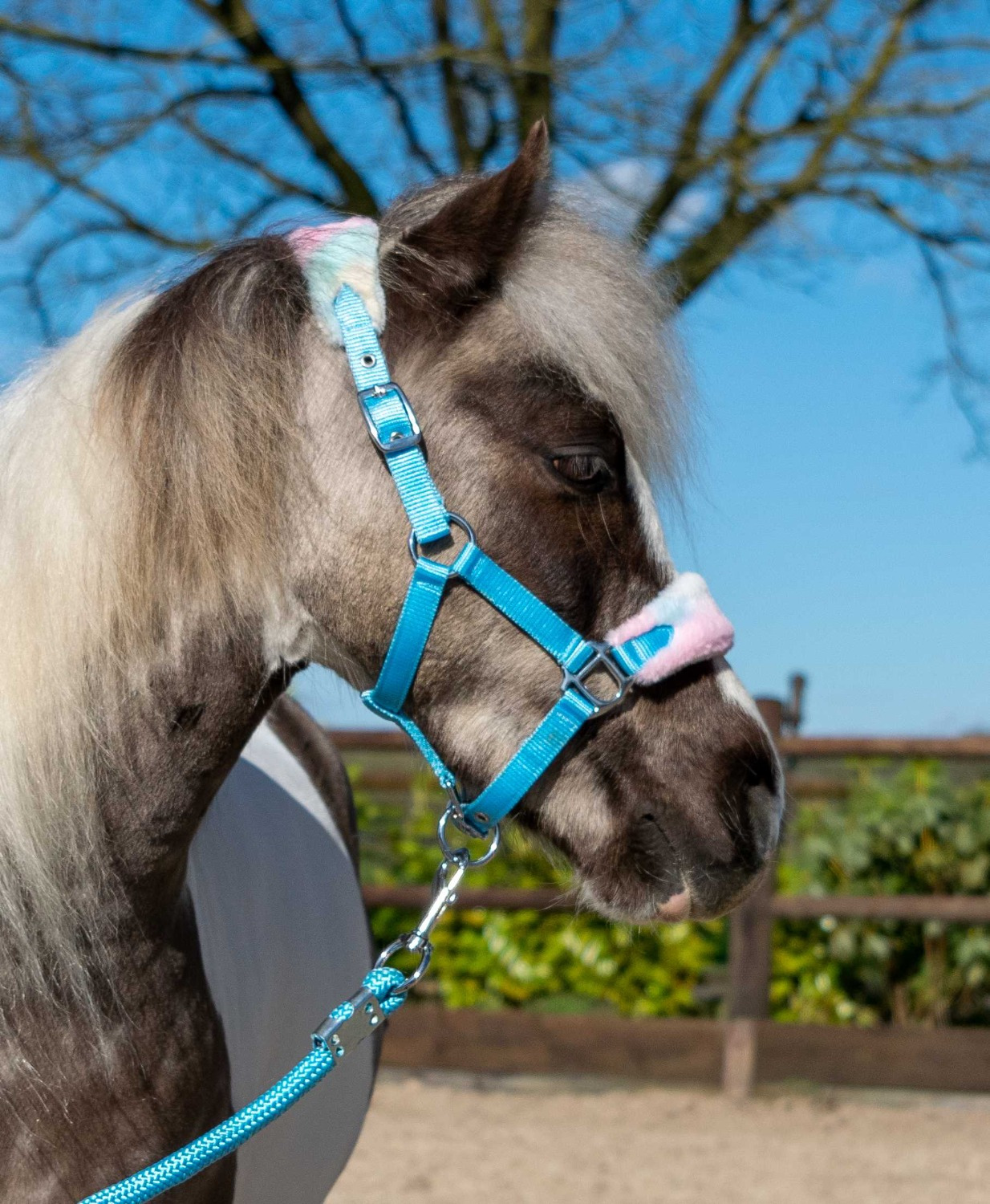 HB Halters Summer Vibes Small Sizes