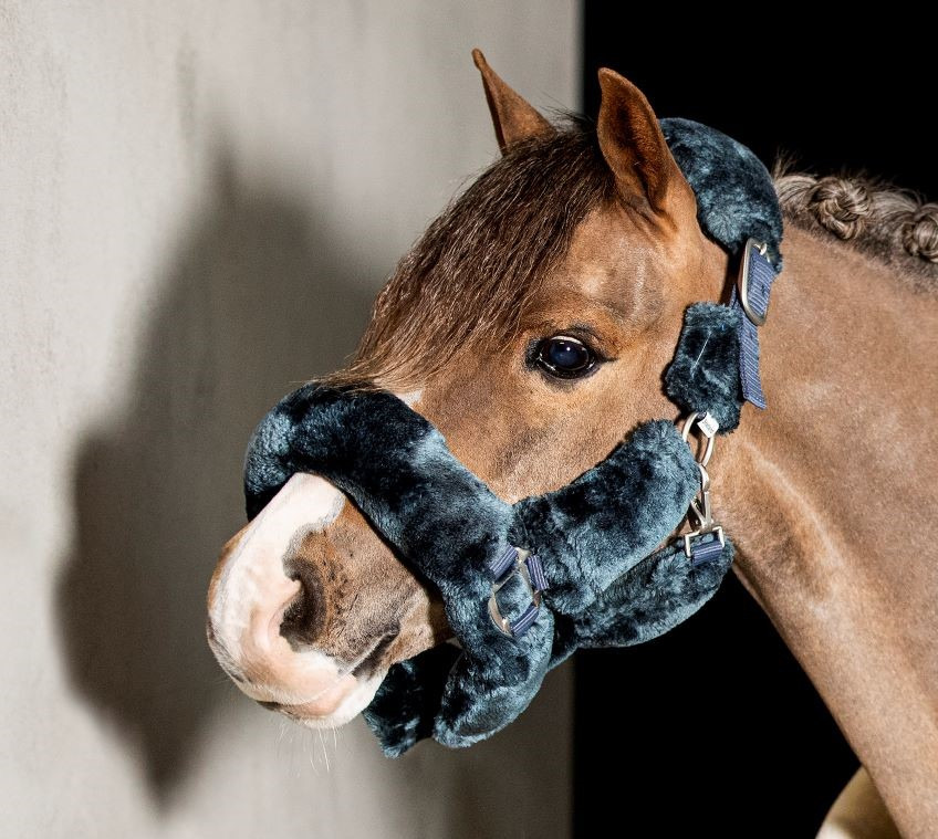 HB Showtime Allround Fluffy halter