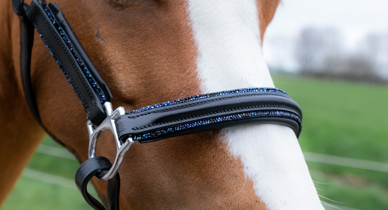 HB Showtime Halter Little Sizes Leather Glitty