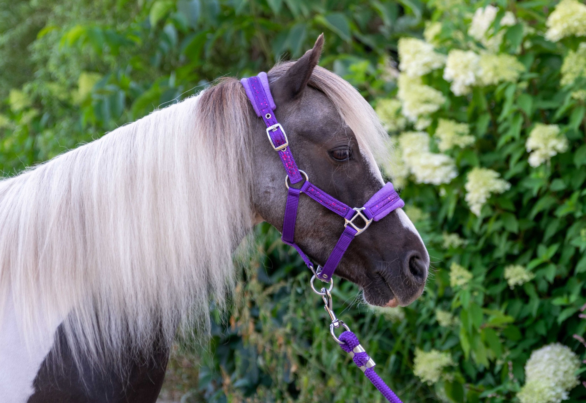 HB Nylon Halter Glitter Fleece Lined