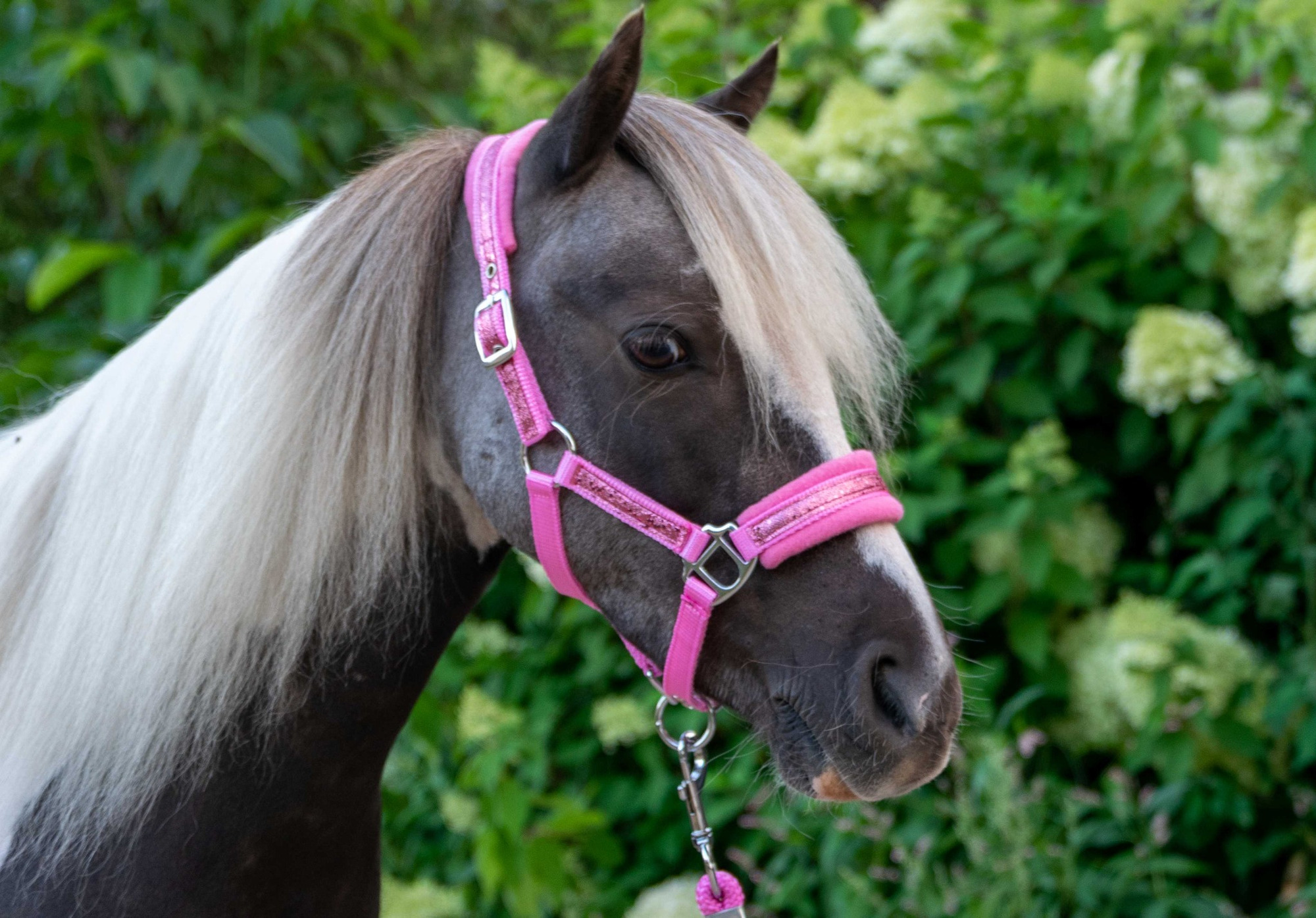 HB Nylon Halter Glitter Fleece Lined