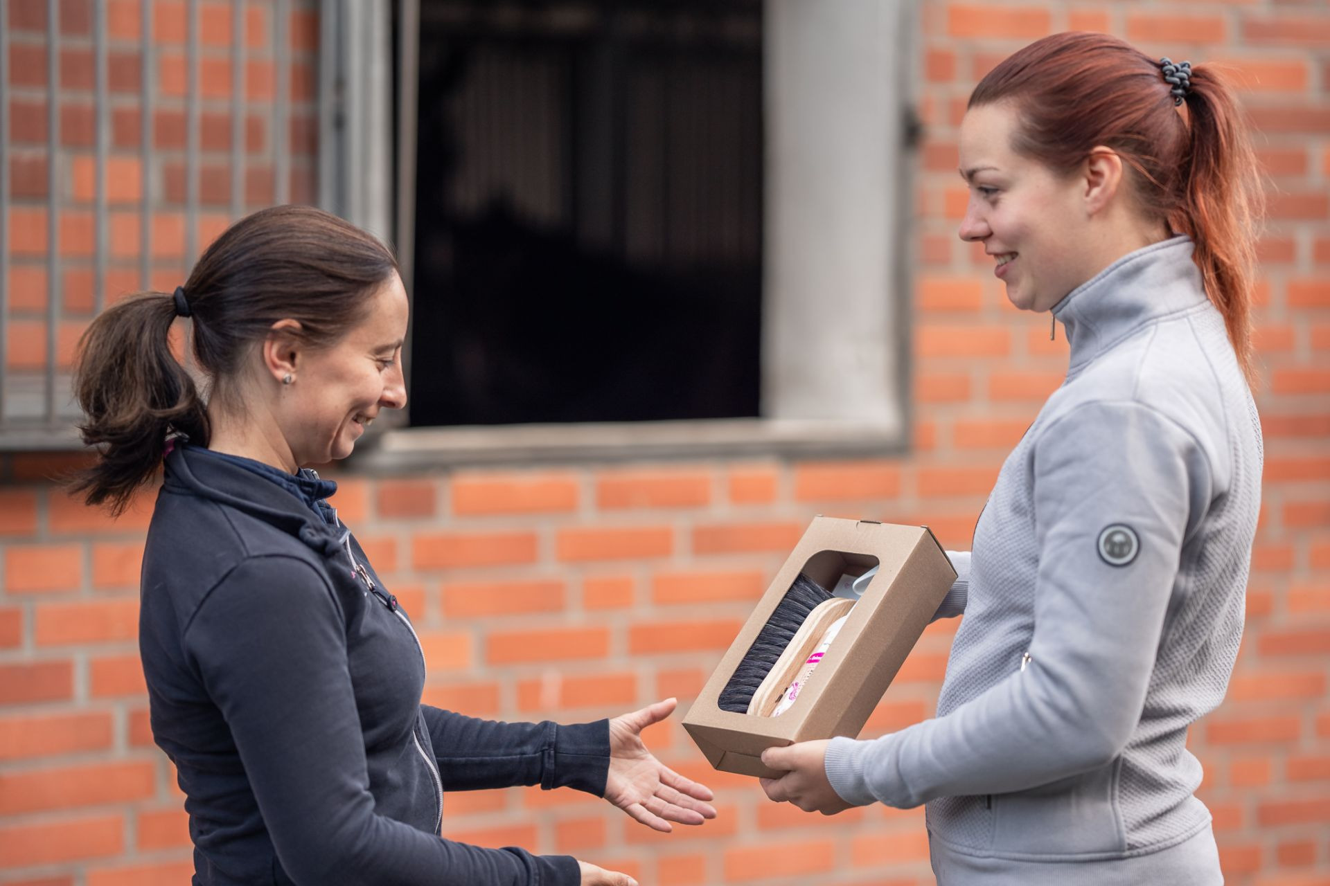 Bense & Eicke Geschenkset Glanzbürste und StarFinish Unicorn Edition