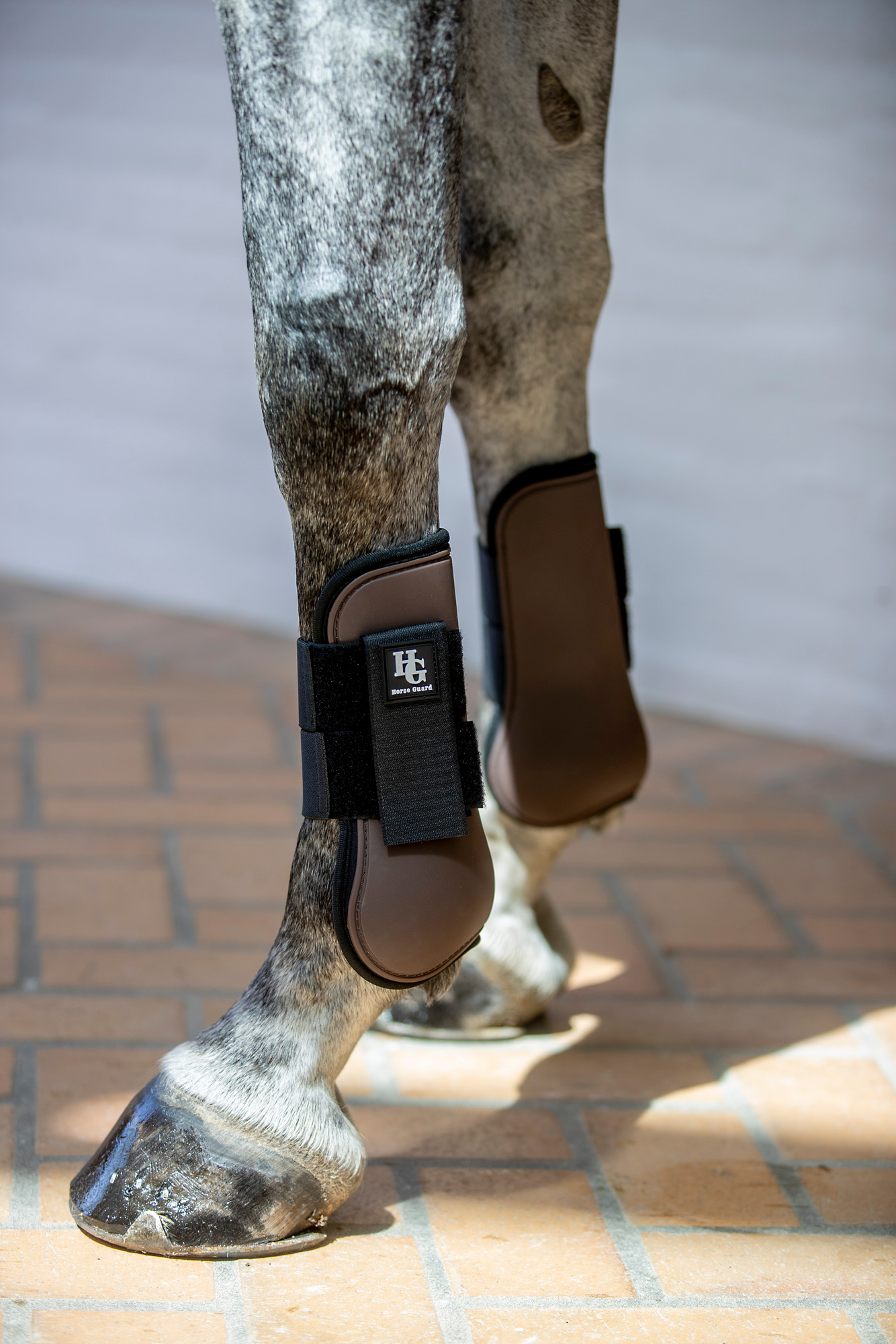 HorseGuard SS26 Timian Sehnenschoner