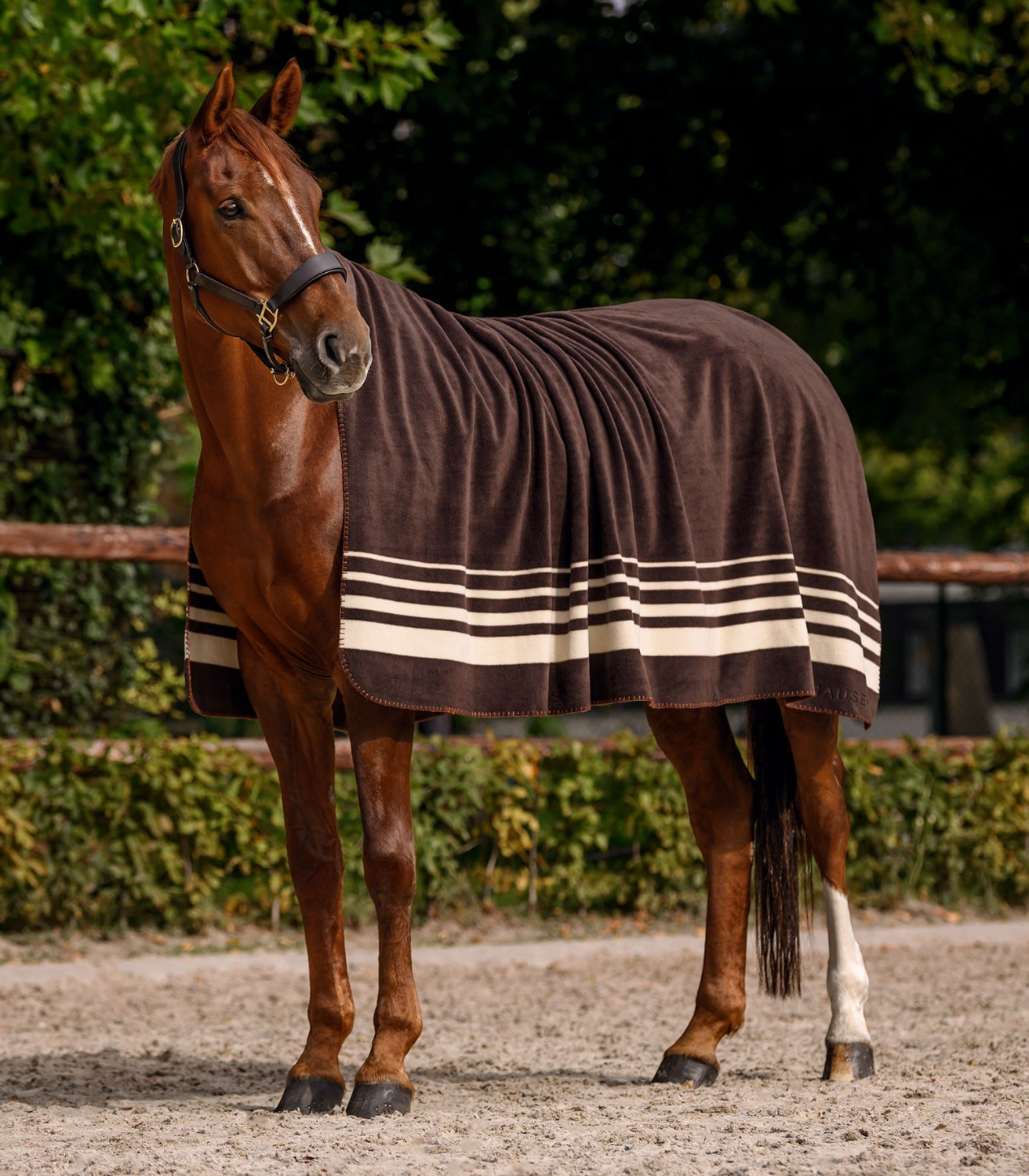 Waldhausen FW26 Fleece Rug Sölden