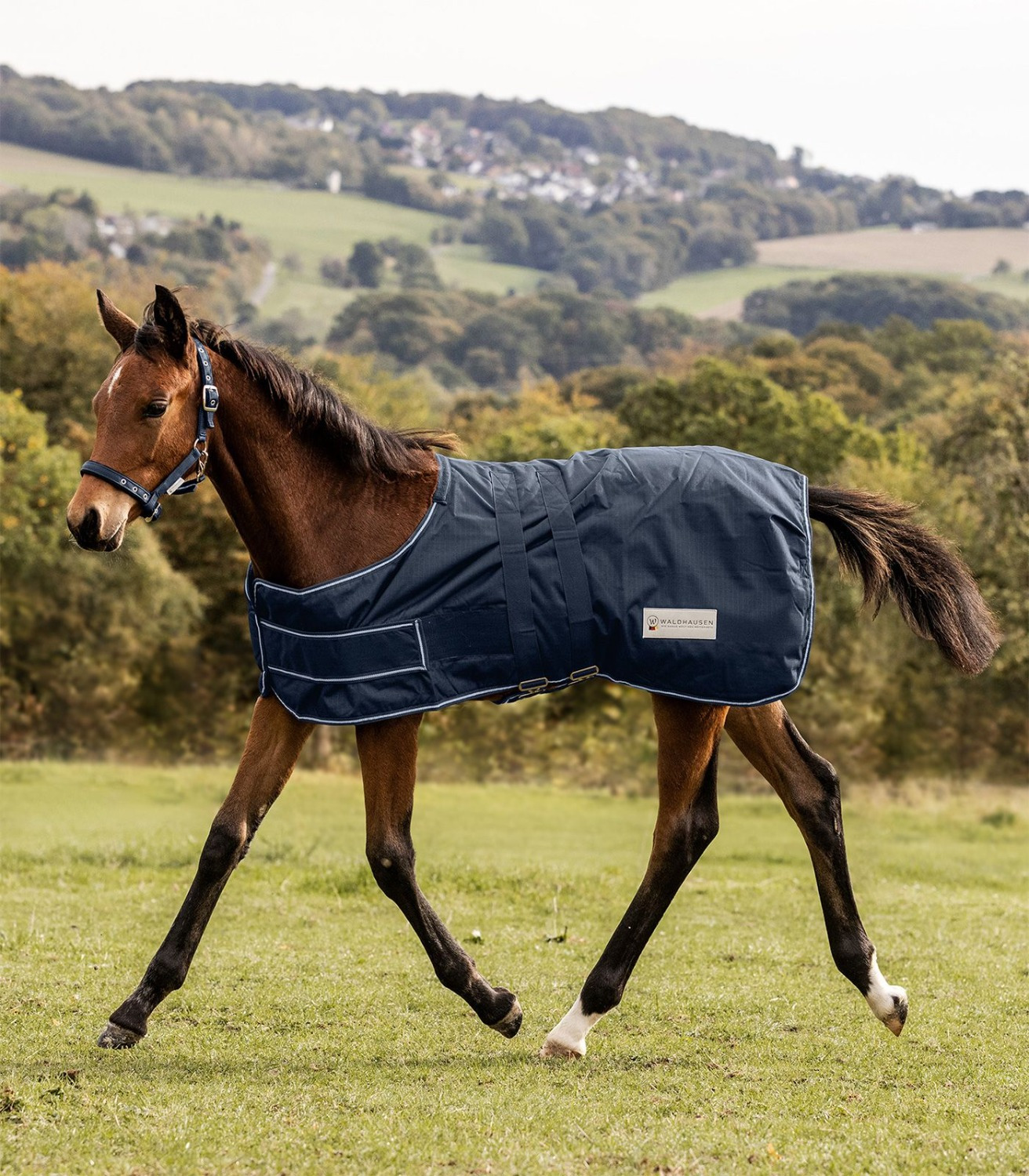 Waldhausen Comfort Foal Rug 100g