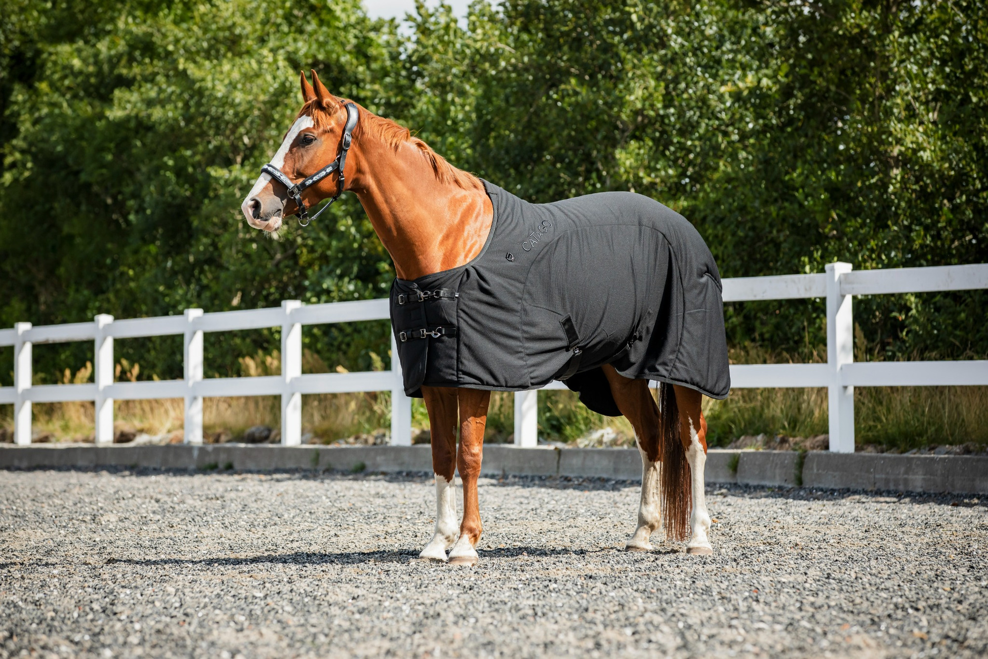Catago FIR-Tech Blanket