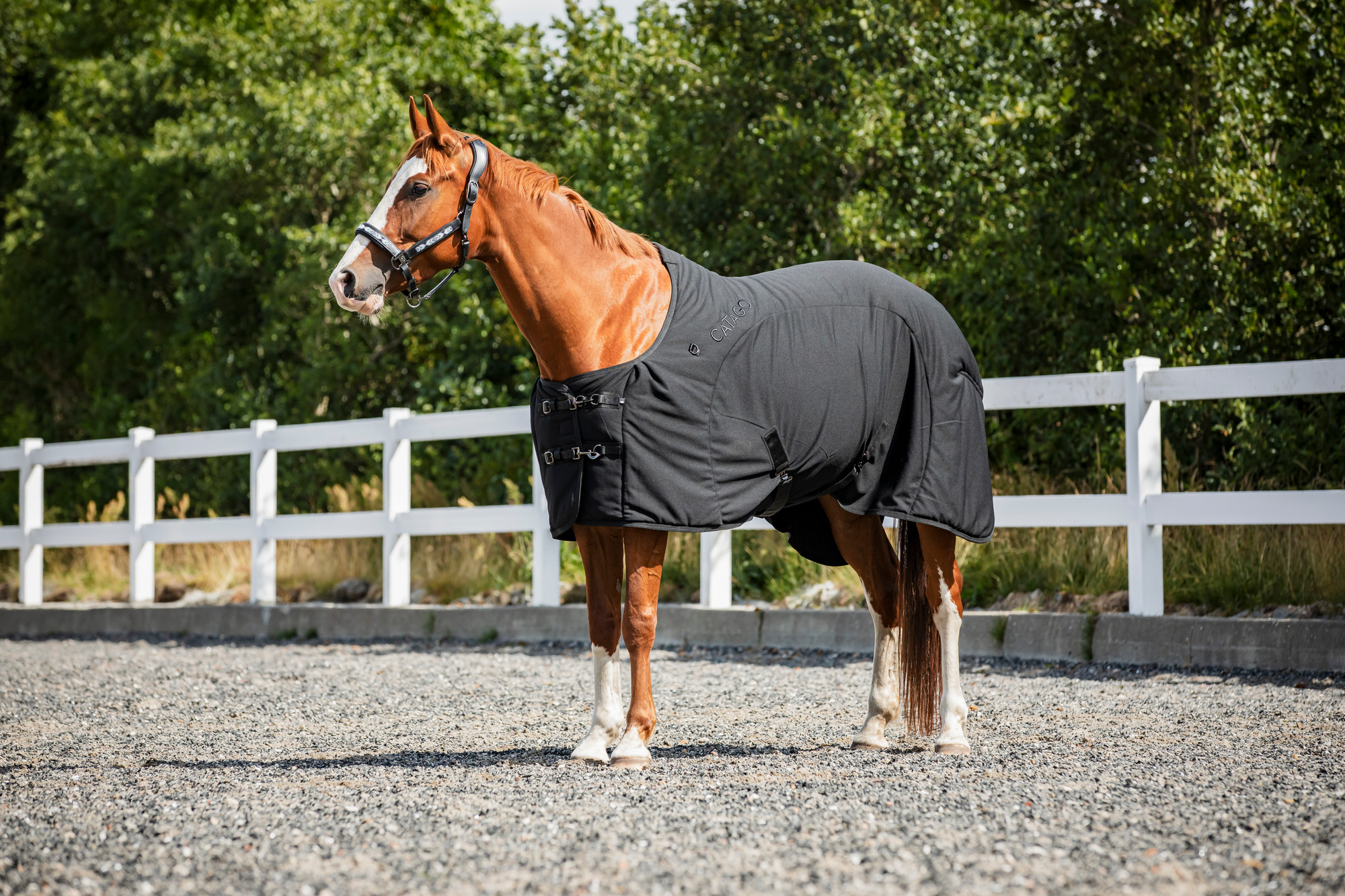 Catago FW26 FIR-Tech blanket 0g