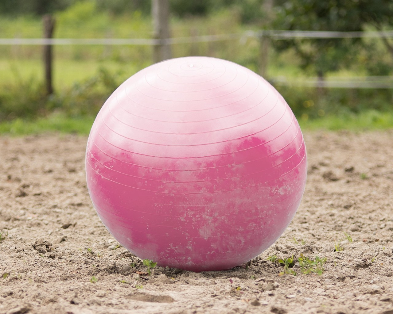 QHP Horse football 100 cm
