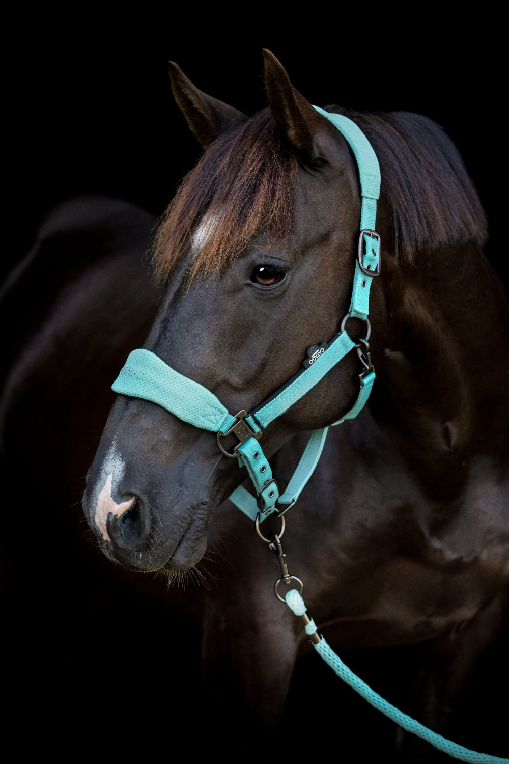 Catago FIR-Tech halter