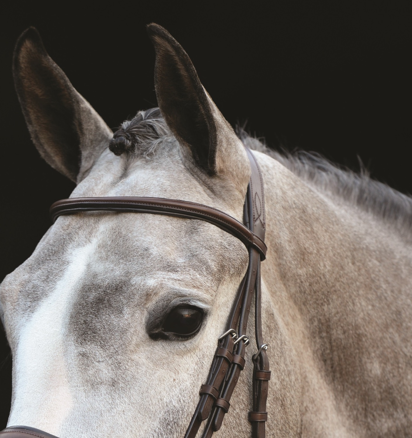 Collegiate Mono Crown Padded Raised Cavesson Bridle