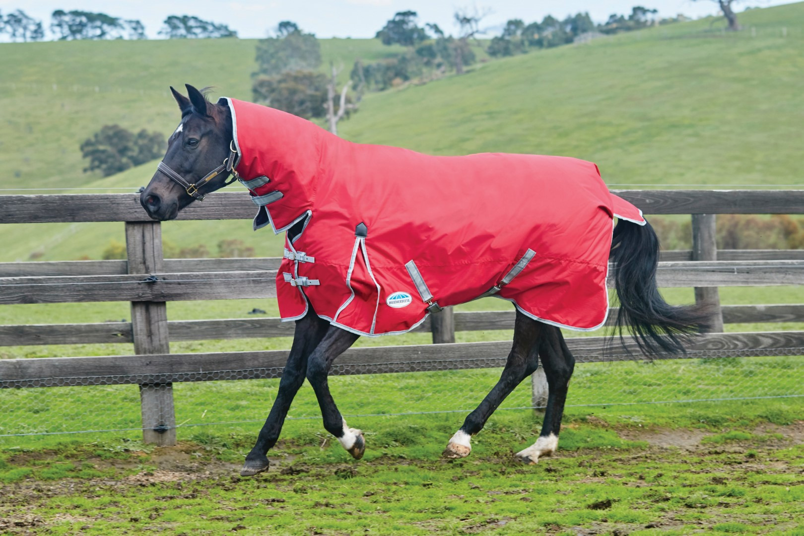 Weatherbeeta ComFiTec Classic Combo Neck, Medium, 220g, Red/Silver/Navy