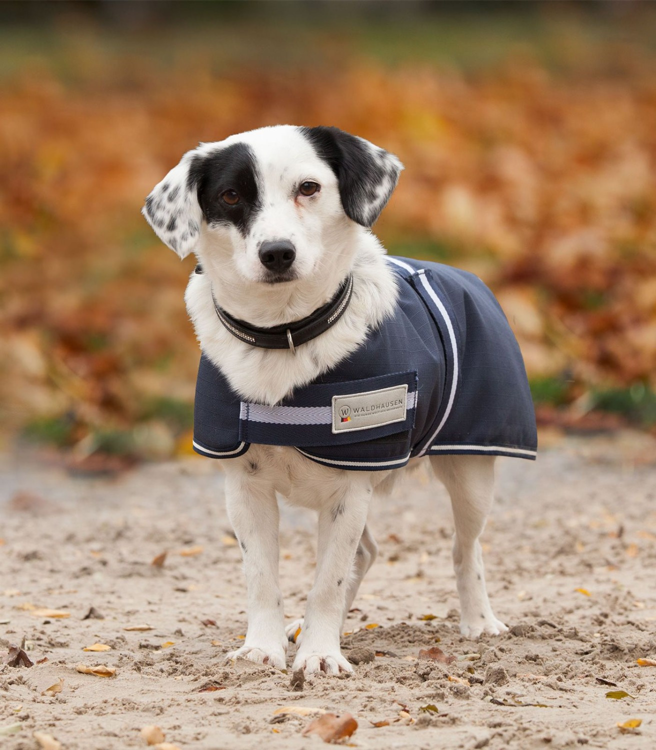 Waldhausen Comfort Dog Rug