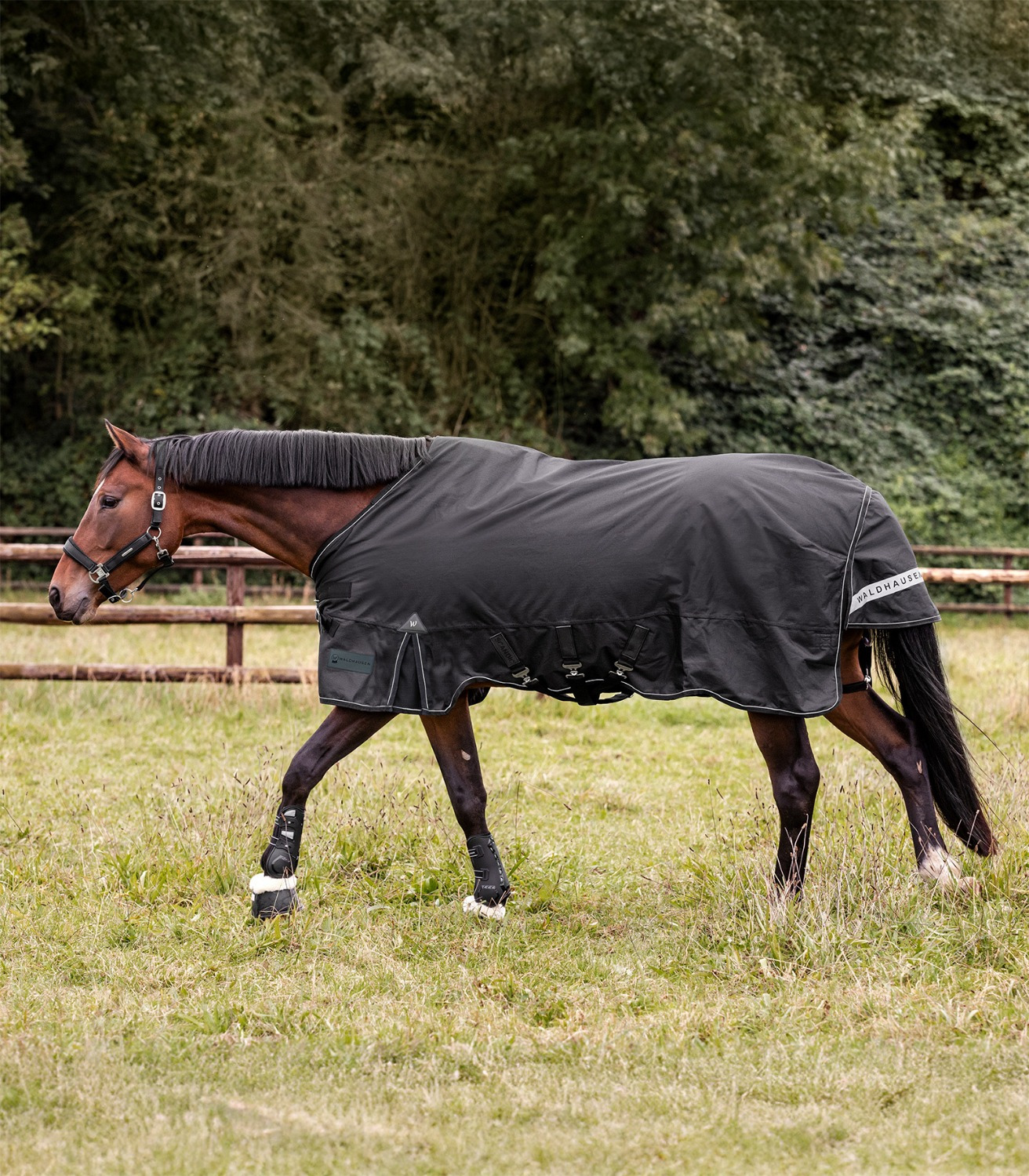 Waldhausen Outdoor Rug Scandic