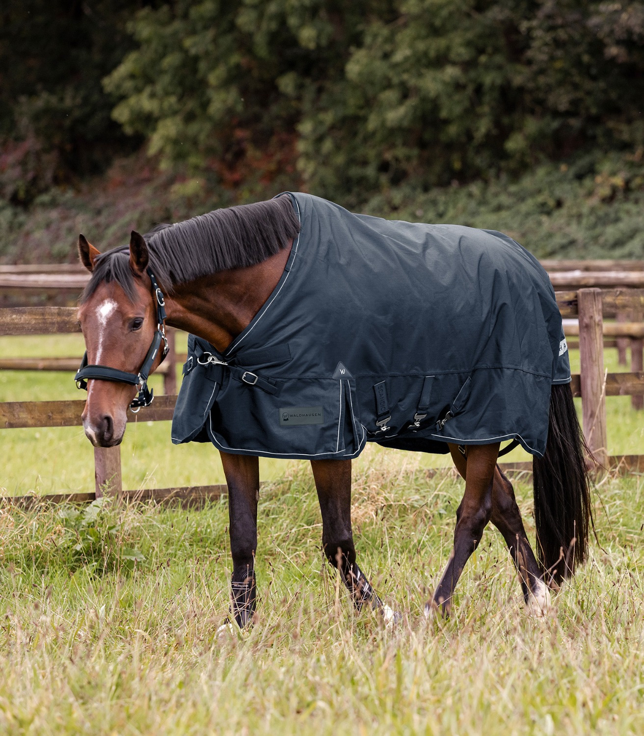 Waldhausen Outdoor Rug Scandic