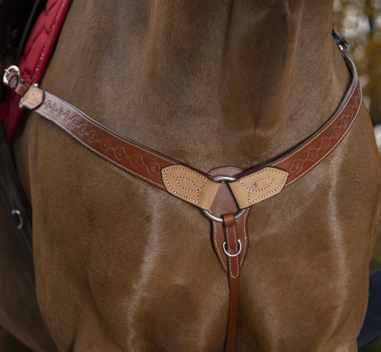Westride Randol's Two-Tone Breast Collar