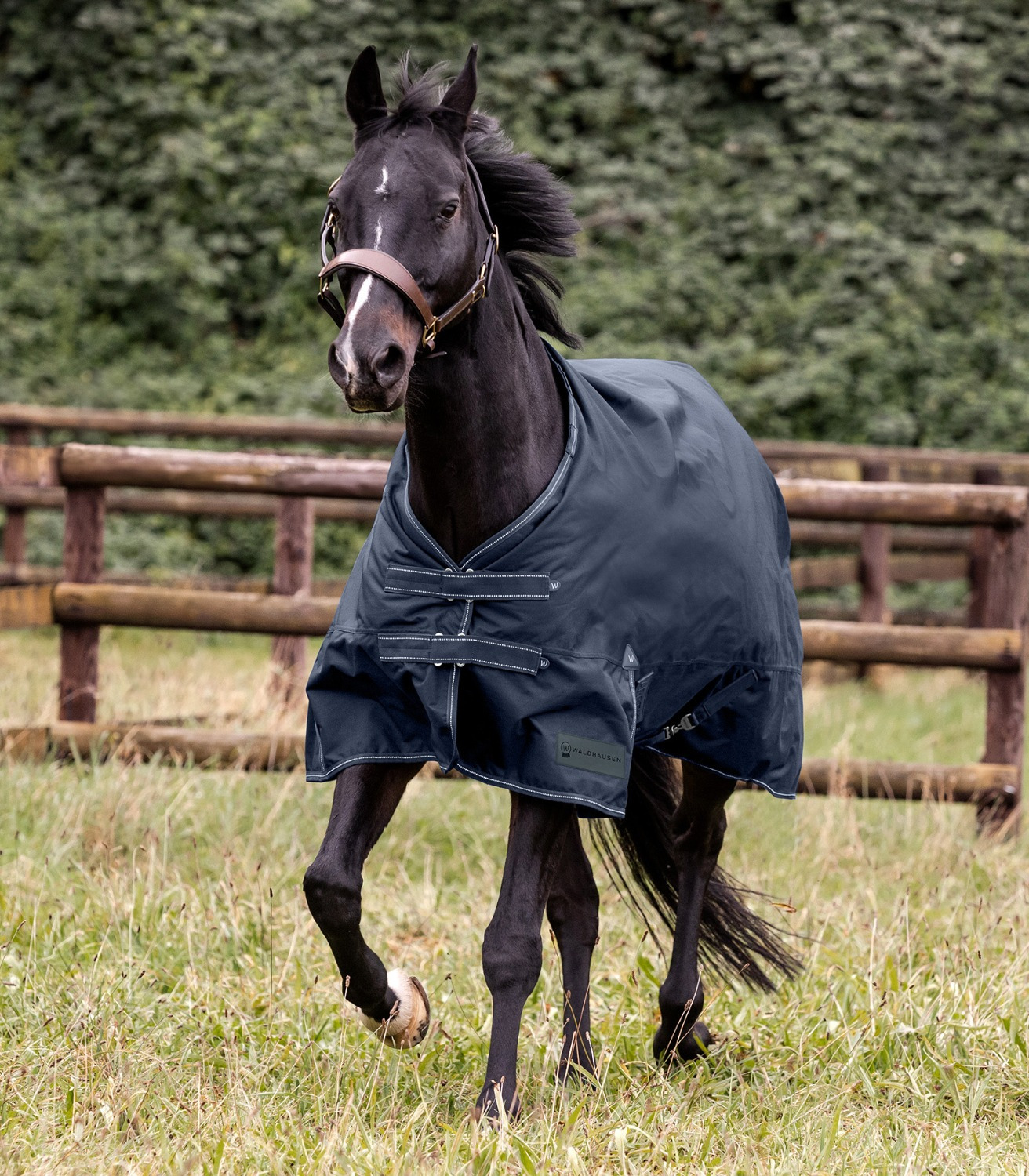 Waldhausen Arctic Turnout Rug
