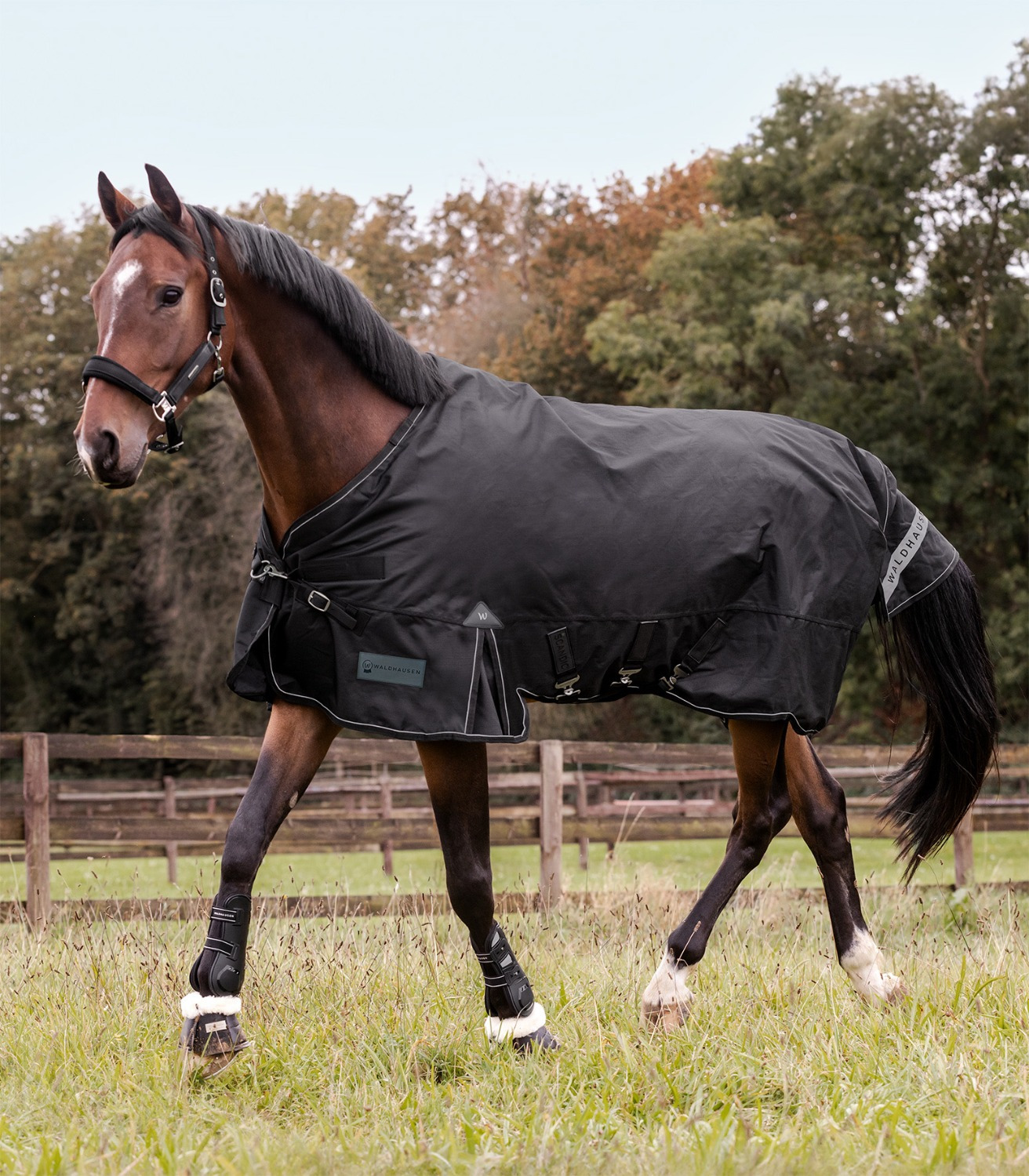 Waldhausen Outdoorrug Scandic Multi-Layer 150g/50g
