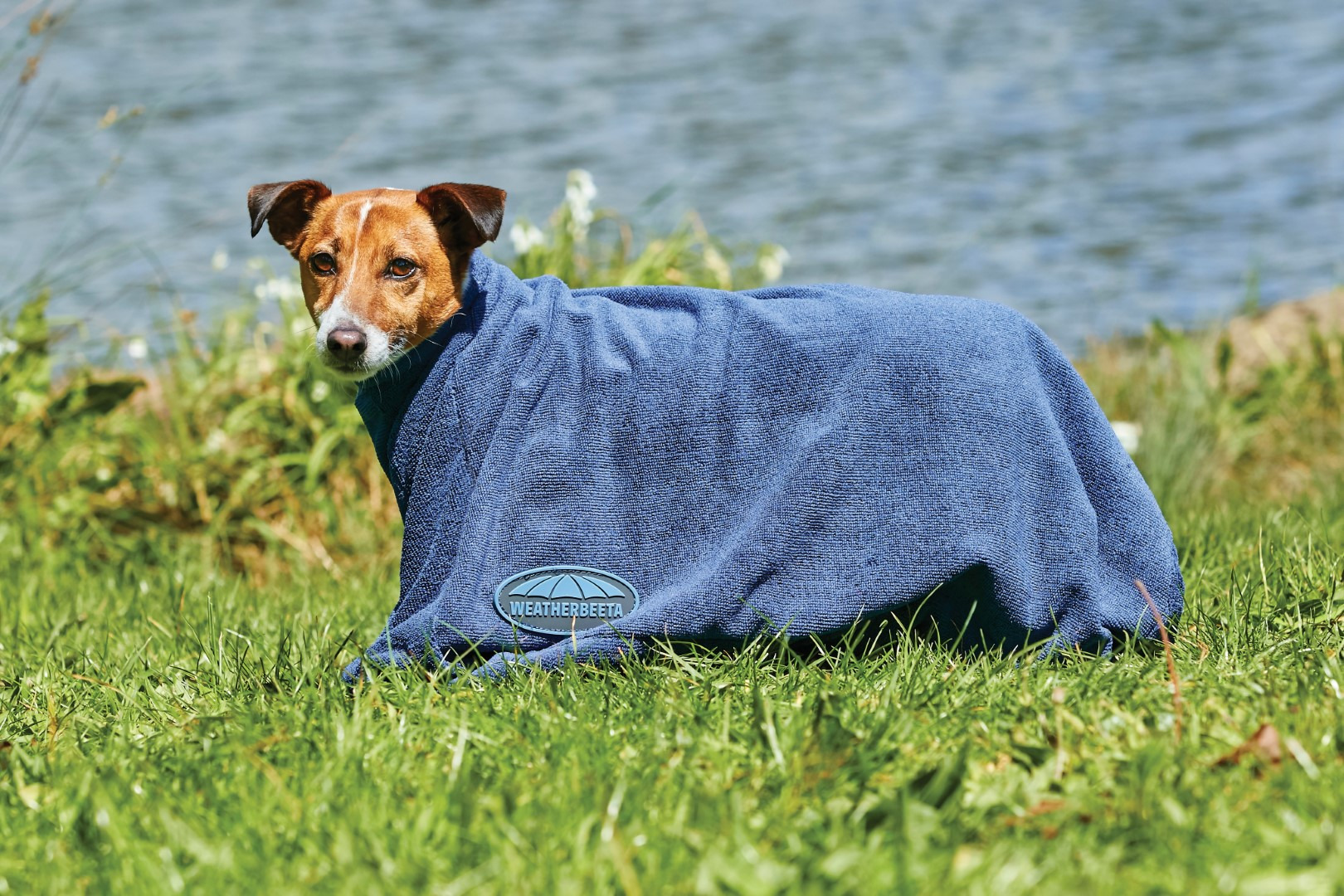 Weatherbeeta ComFiTec Dry-Dog Fleece Jacket