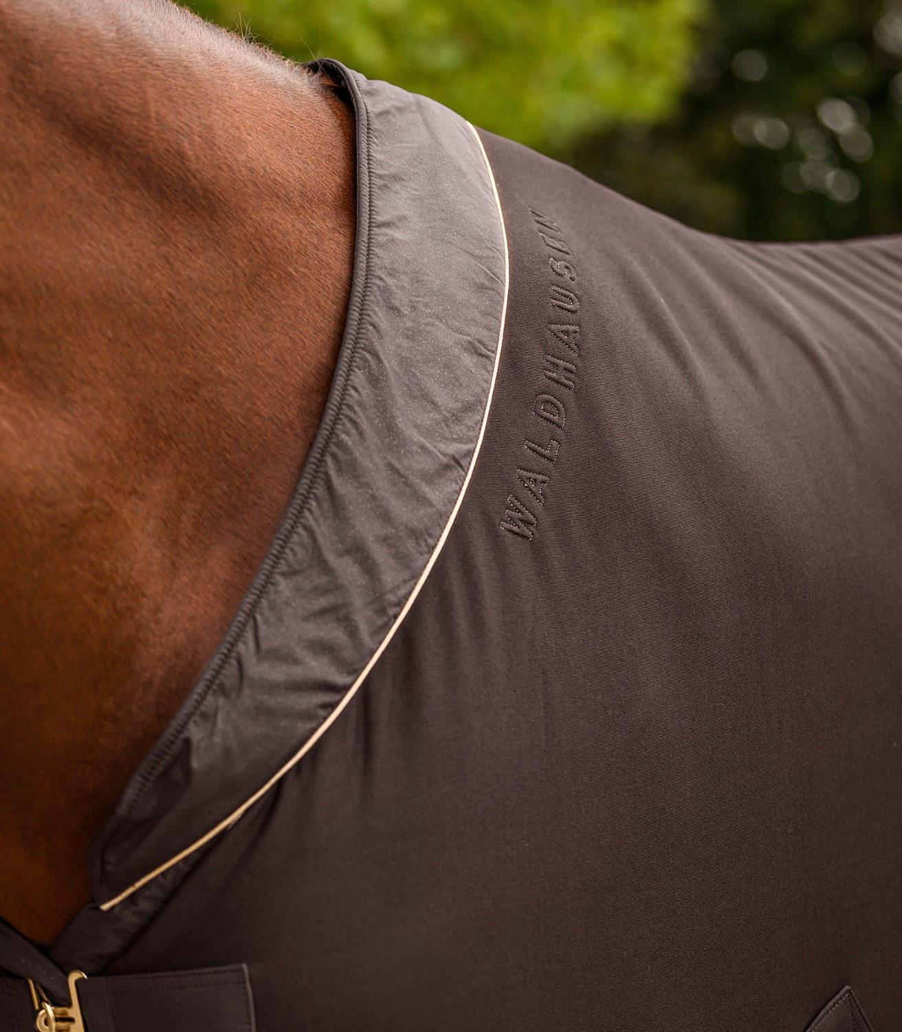 Waldhausen FW26 Jersey Cooler Rug Phoenix