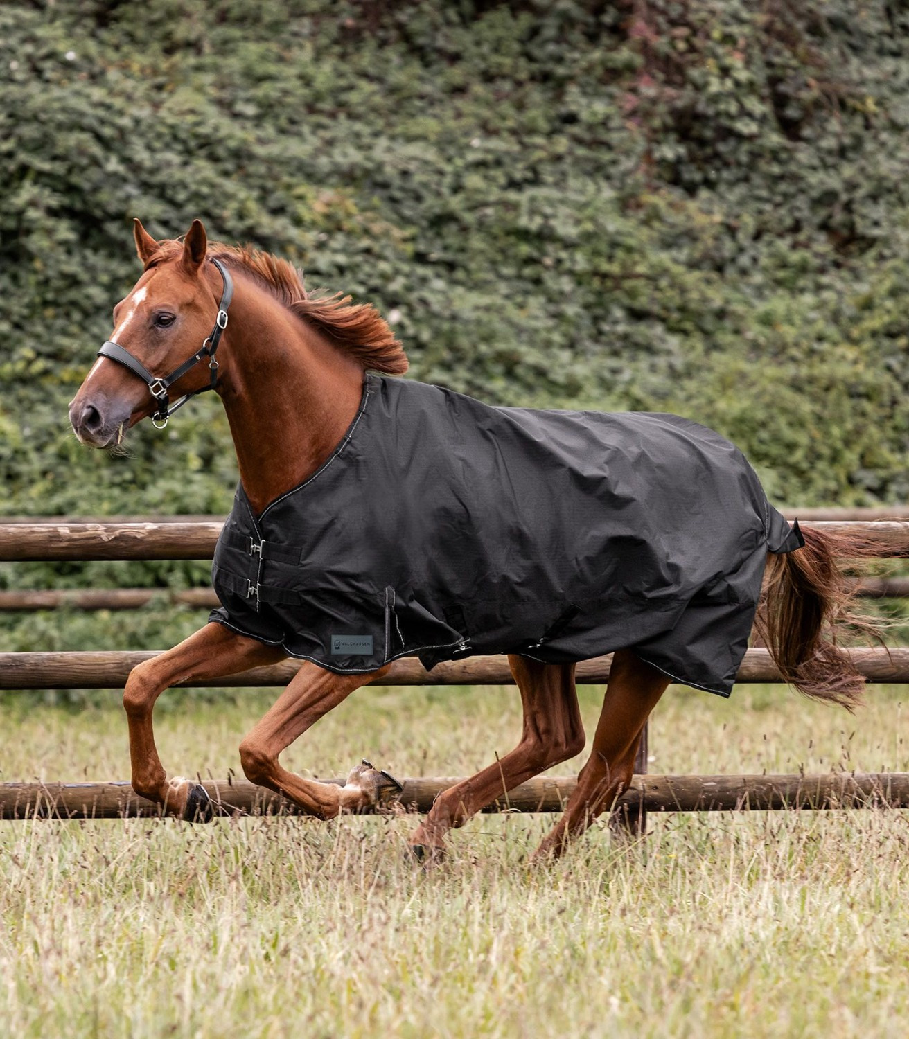 Waldhausen Nordic Turnout Rug