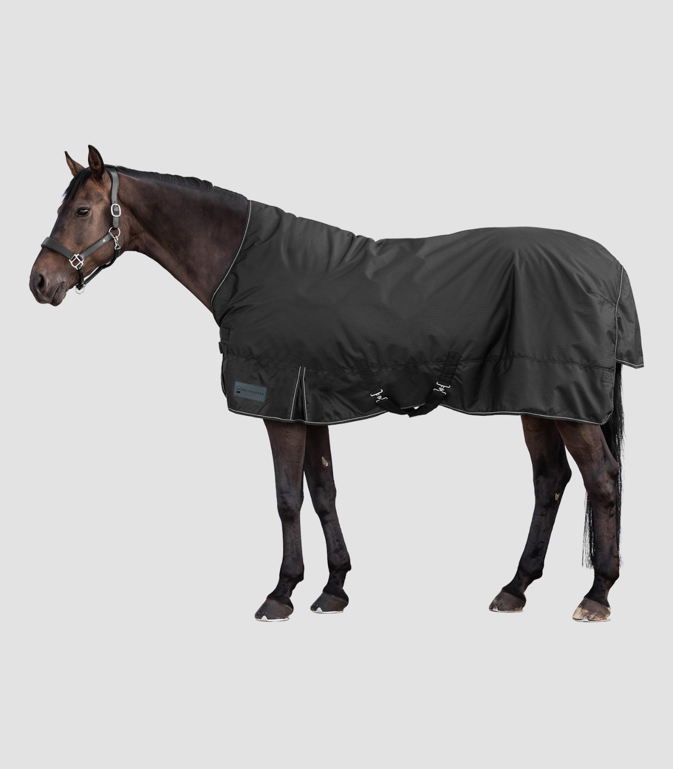Waldhausen Nordic High Neck Turnout Rug