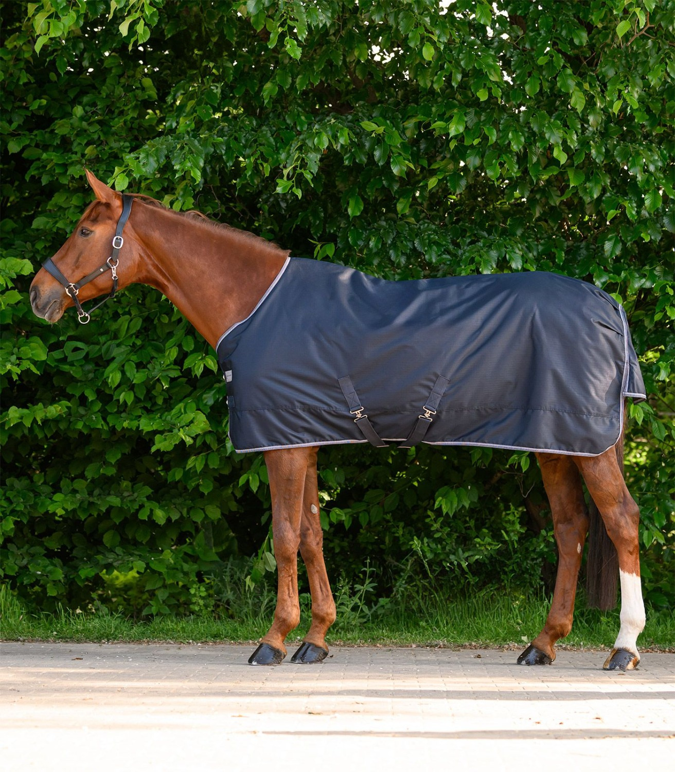 Waldhausen Economic Turnout Rug
