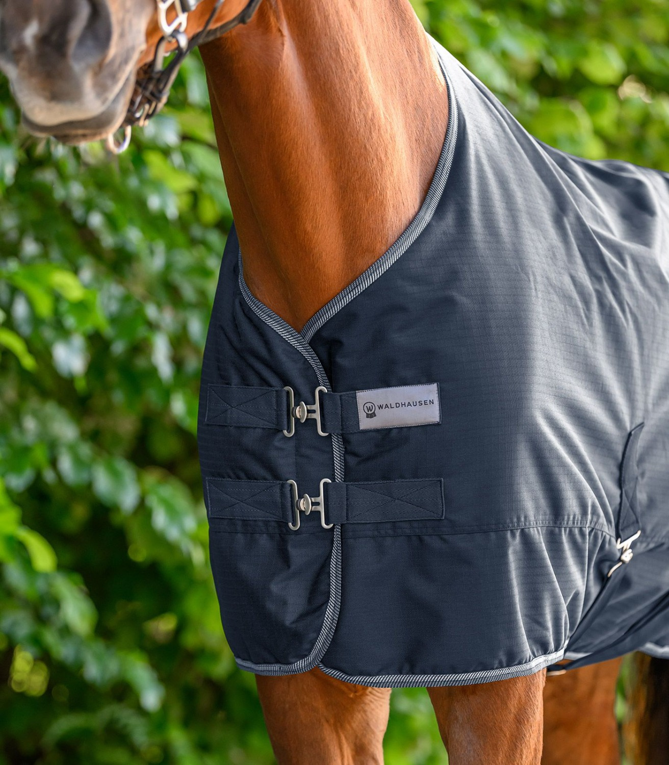 Waldhausen Economic Turnout Rug