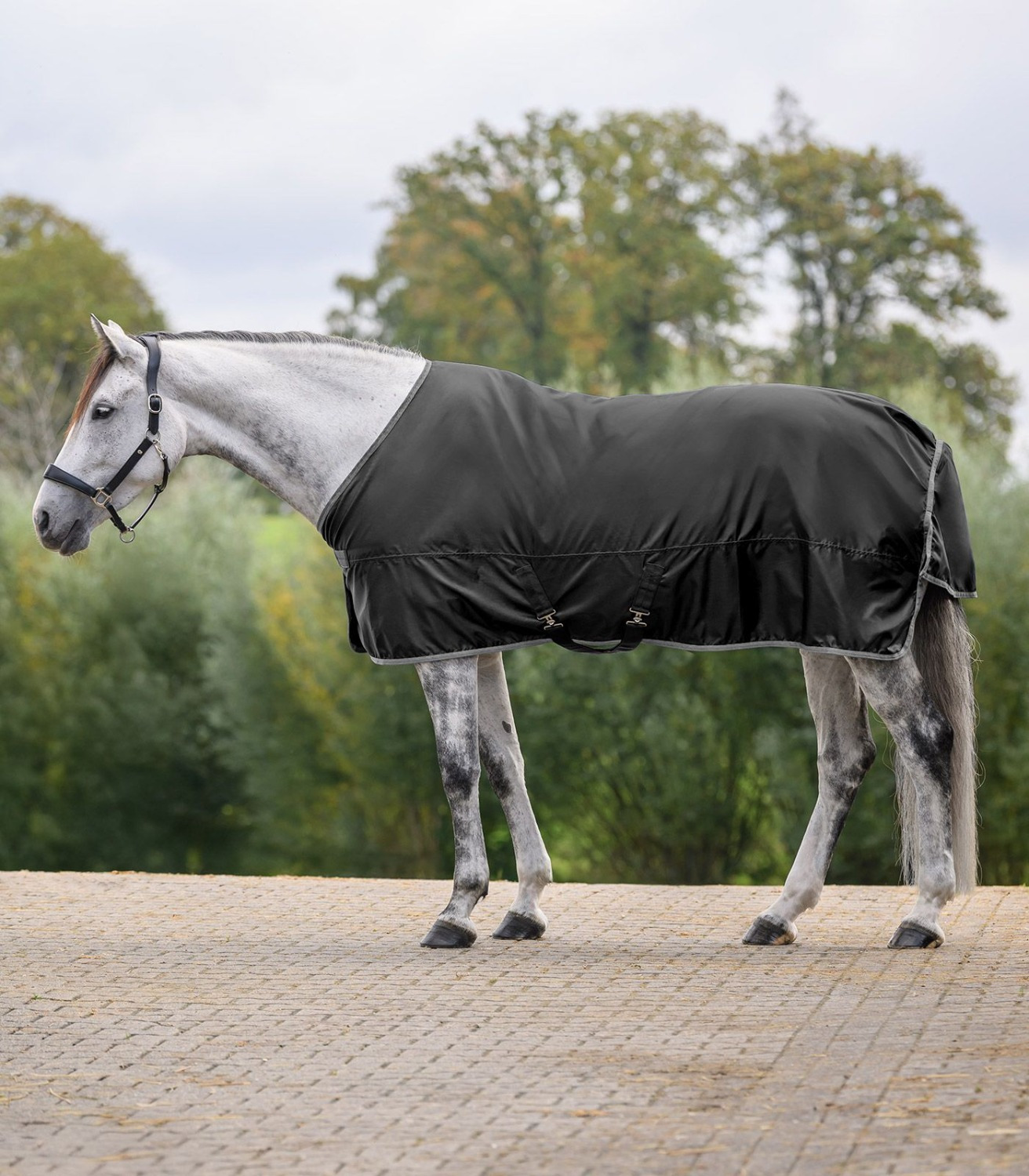 Waldhausen Economic Rain Sheet