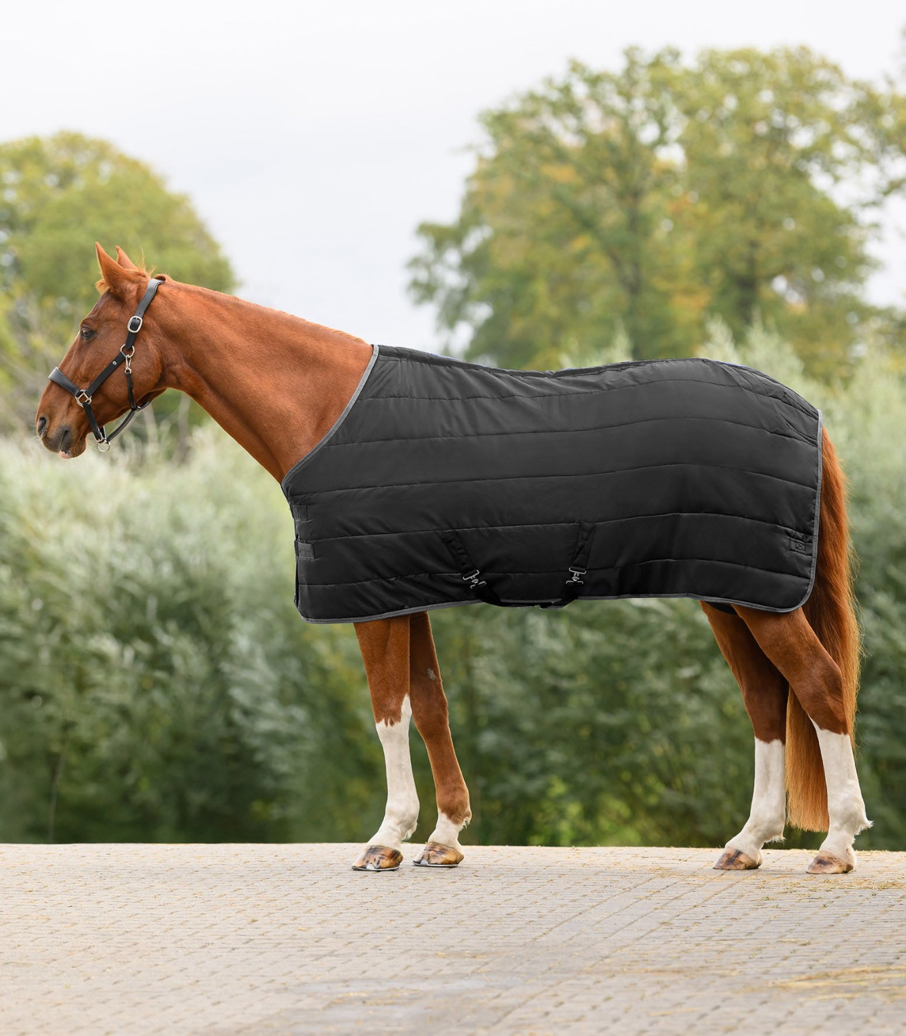 Waldhausen Economic Stable Rug