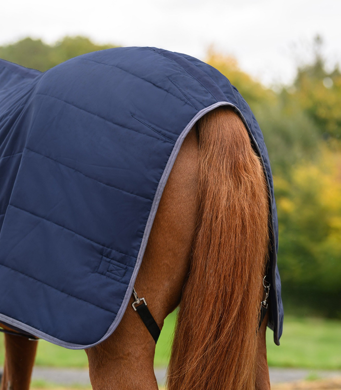 Waldhausen Economic Stable Rug