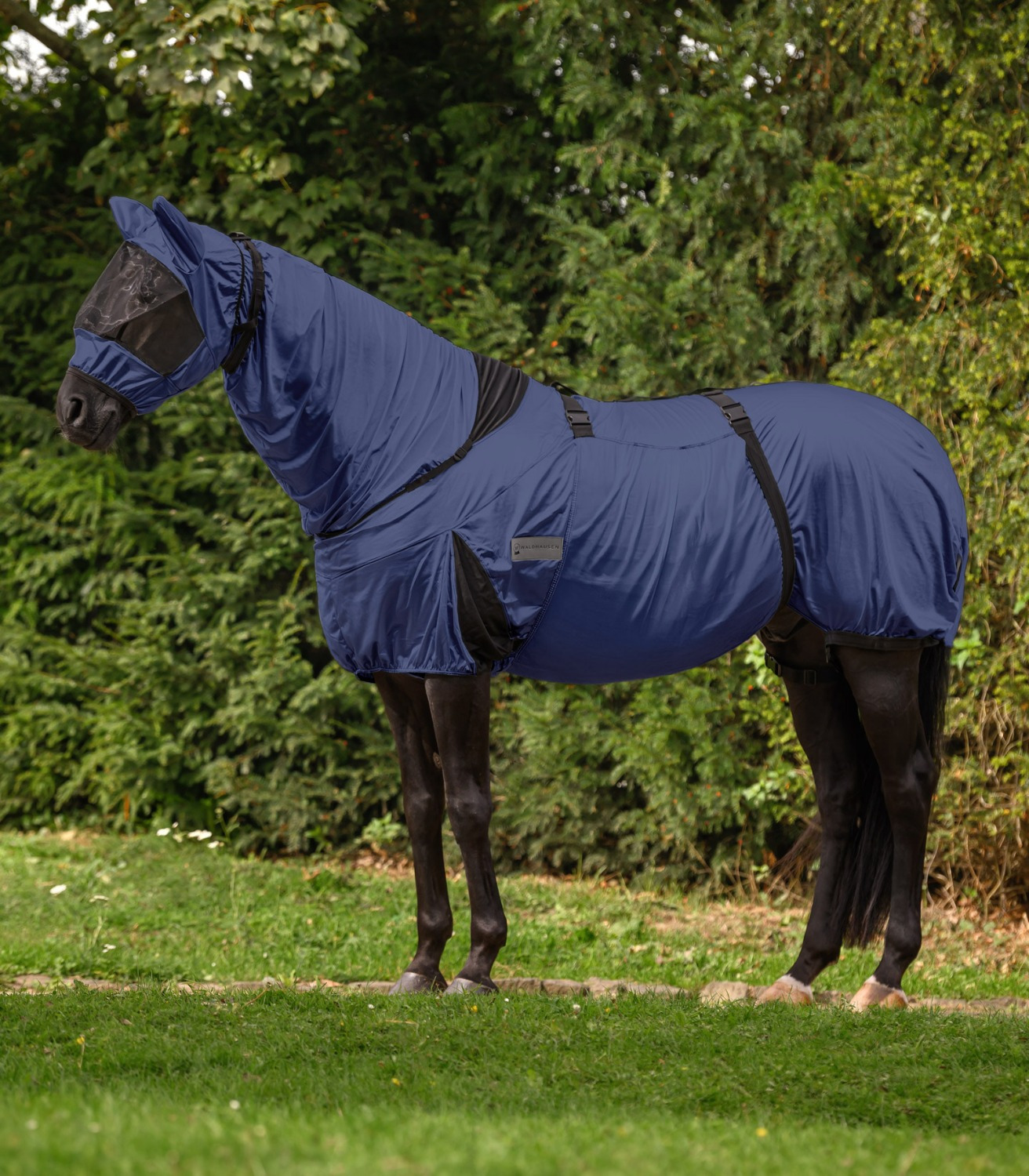 Waldhausen Eczema Rug Premium