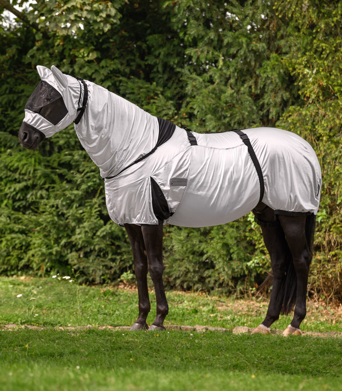 Waldhausen Eczema Rug Premium