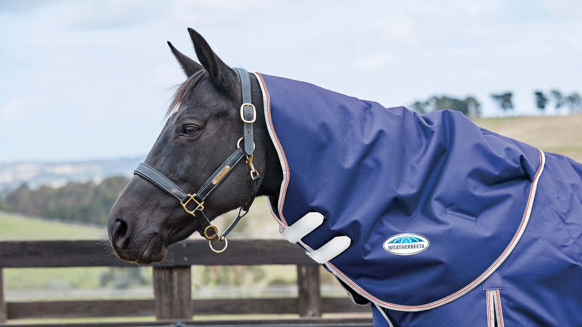 Weatherbeeta ComFiTec Essential Lightweight Neck 0g