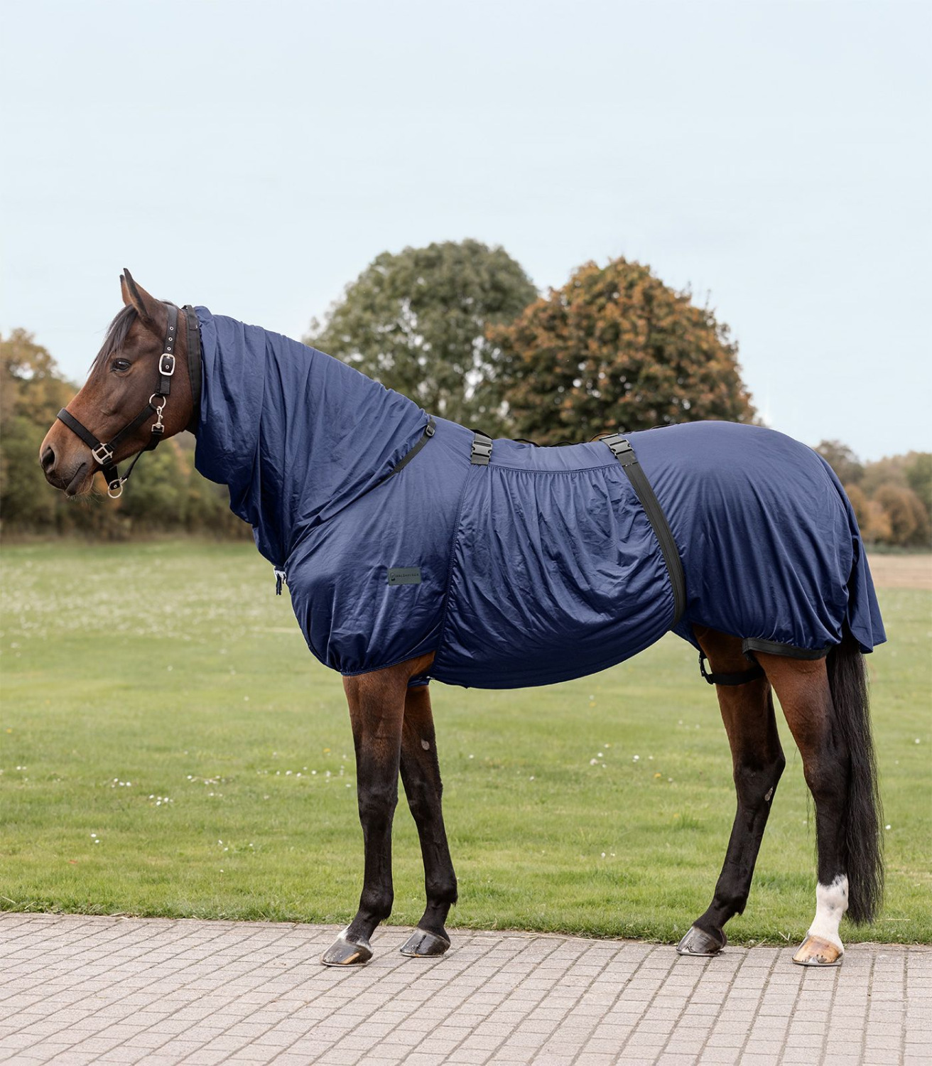Waldhausen Sweet Itch Rug Basic