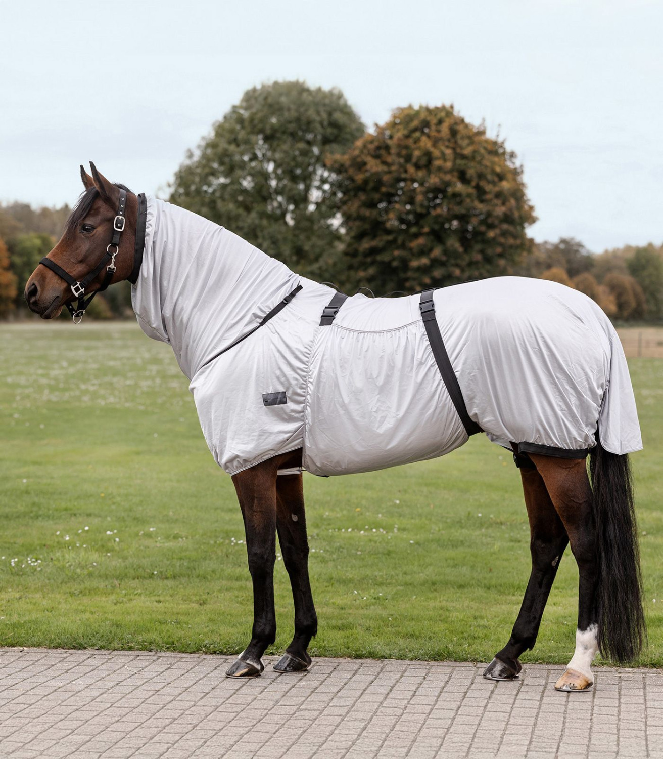 Waldhausen Sweet Itch Rug Basic