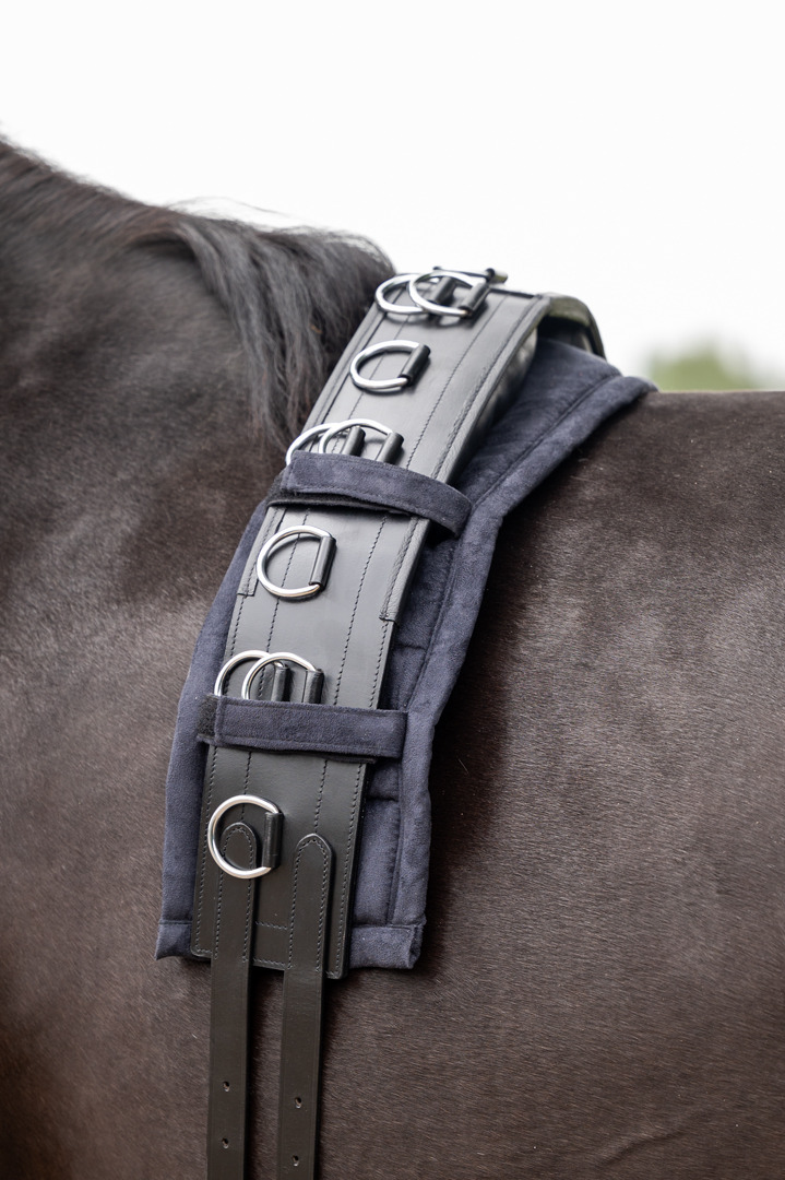 HB Showtime Deluxe Leather Lunge Girth